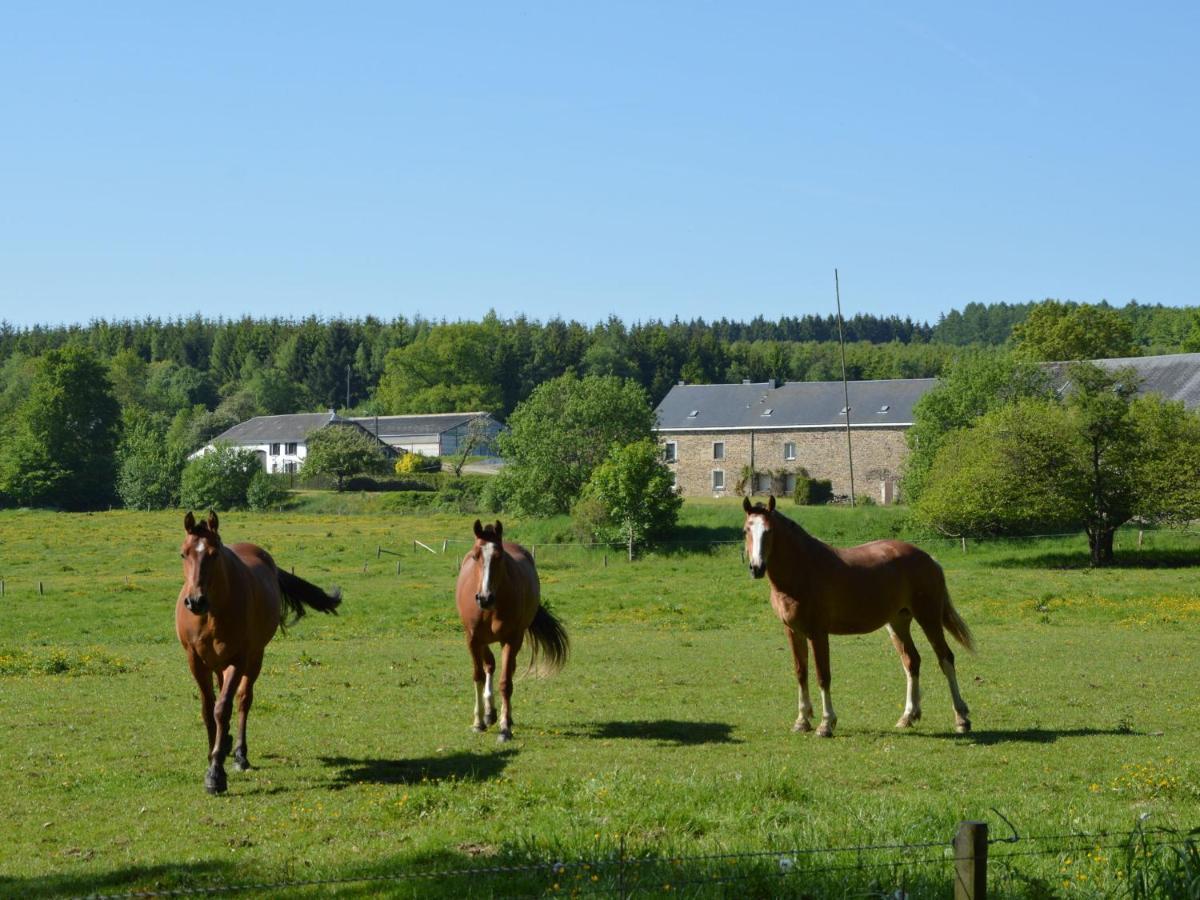 Leuk Huis Met Zwembad Cetturu Habitación foto